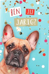 Depesche Geburtstagsbuch Spielzeug - fröhliches Geschenk für Kinder