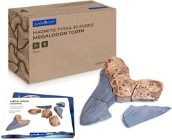 Guidecraft Magnetic Fossil 3D Puzzle - Megalodon Tooth