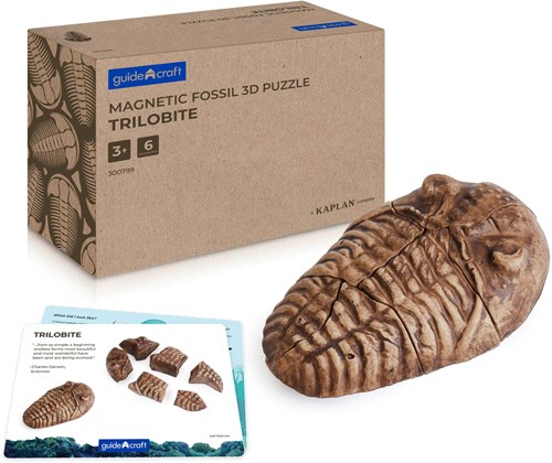 Guidecraft Magnetic Fossil 3D Puzzle - Trilobite