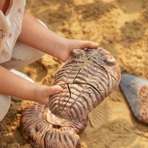 Guidecraft Magnetic Fossil 3D Puzzle - Trilobite-2