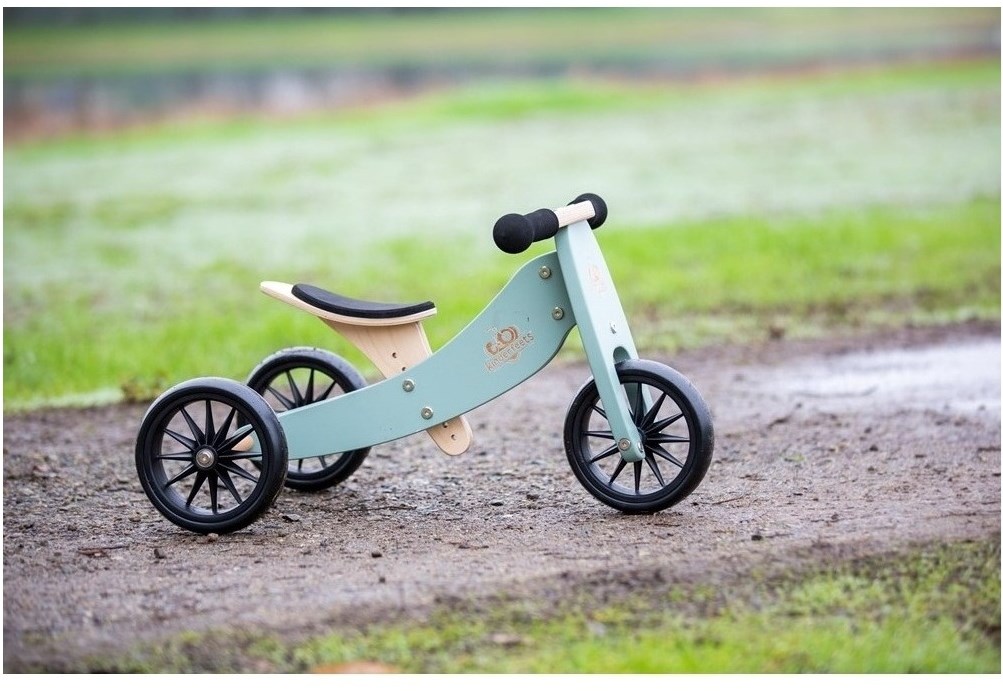Tricycle Velo Equilibre En Tricycle évolutif En FOREST – Vélo D