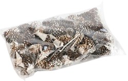 Decoratieset Dennenappel Mini 180gr