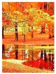 Peinture diamant Automne DL4050/113