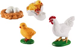 Eduplay Huhn Lebenszyklus Spielzeug Set - Lernspielzeug Huhn