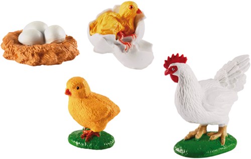 Eduplay Huhn Lebenszyklus Spielzeug Set - Lernspielzeug Huhn
