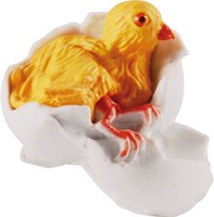 Eduplay Huhn Lebenszyklus Spielzeug Set - Lernspielzeug Huhn-3