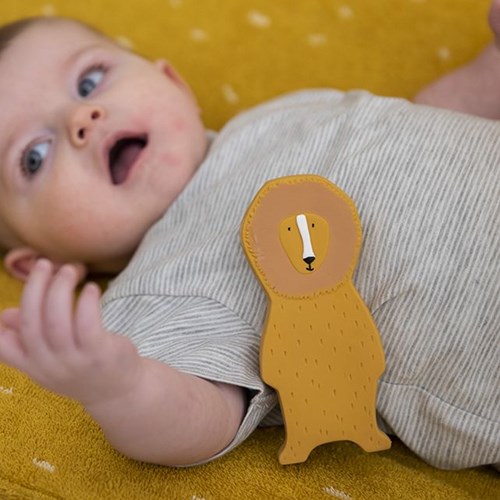 Trixie Spielzeug aus Naturkautschuk - Mr. Lion-3