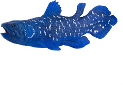 Mojo Sealife coelacanth Spielfigur blau PVC Ozean
