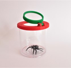 Eduplay Lupendose - große Insektenbox für Kinder zum Entdecken