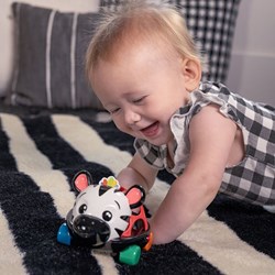 Baby Einstein Spielzeugauto Curious Car Zen Oball Rassel - mehrfarbig