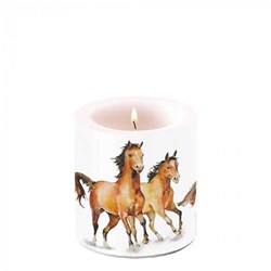 Ambiente Kerze Wild horses klein Paraffin Dekoration