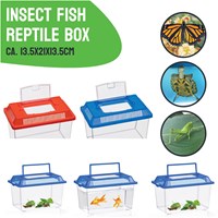 Insektenbox mit Deckel - Transparente Kunststoffbox 1,8 Liter-2