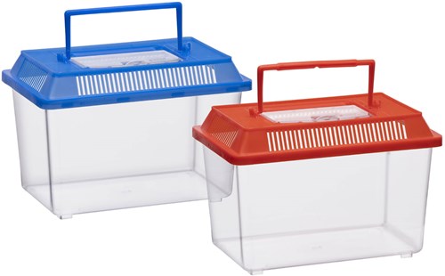 Insektenbox mit Deckel - Transparente Kunststoffbox 1,8 Liter-3