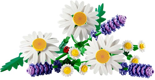 LEGO botanicals set de construction fleurs pâquerettes pour enfants-2