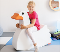 Softplay zwaan-2