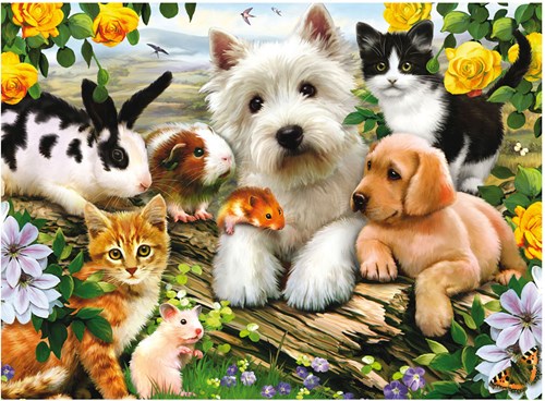 Ravensburger puzzle animaux - Happy Animal Buddies puzzle 300 pièces-2