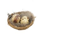 Deco Nest met eitjes en veren 6 st. Ø7cm