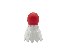 Fidget Go - Badminton