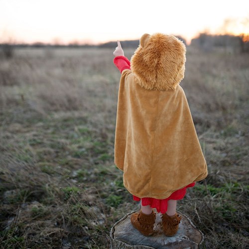 Große Pretenders-Löwenmütze für Kleinkinder, Maße US 2–3T-3