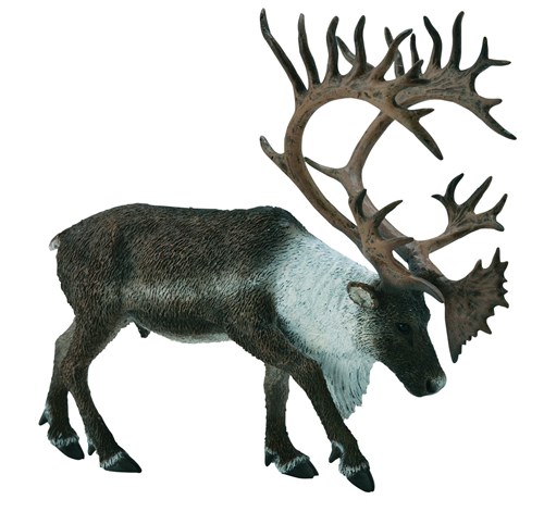 COLLECTA Waldhirsch - (XL)