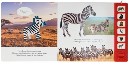 Mondikaarten livre sonore animaux sauvages livre interactif pour enfants-2