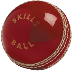 Gunn and Moore GM Skills Ball