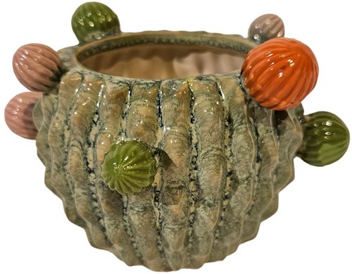 Bloempot cactus 16,5x16,5x10,5cm