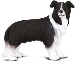 COLLECTA Border Collie – (M)