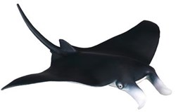 COLLECTA Mantarochen - (M)