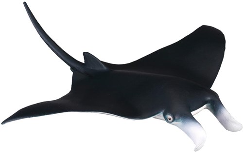 COLLECTA Manta Rog - (M)-2