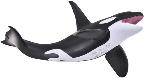 COLLECTA Orca - (XL)-2