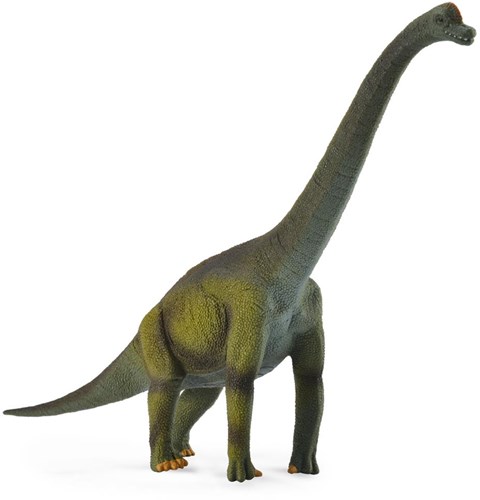 COLLECTA Brachiosaurus - (L)-2