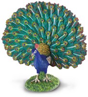 COLLECTA Pauw - (L)-2