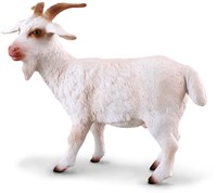 COLLECTA Bok – (M)