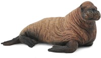 COLLECTA Walrosskalb - (M)