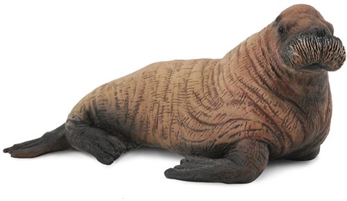 COLLECTA Walrosskalb - (M)