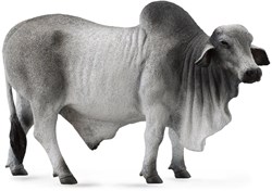 COLLECTA Brahmanenbulle - (L)