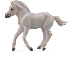 COLLECTA Fjord Foal Grey - (M)