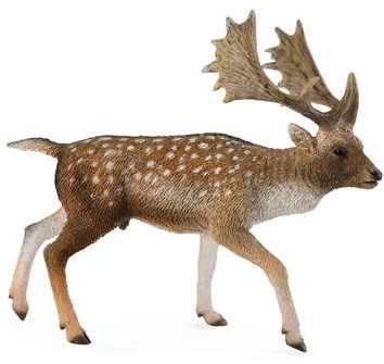 COLLECTA Damhert Bok - (L)-2