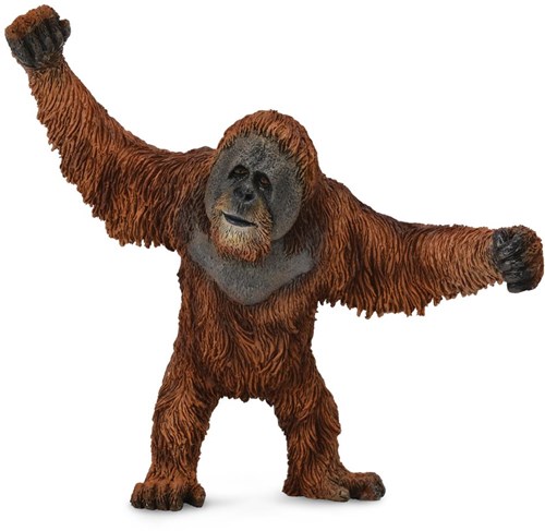 COLLECTA Orang-Utan - (L)-2