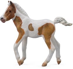 Collecta Dartmoor Hill Veulen - (M)