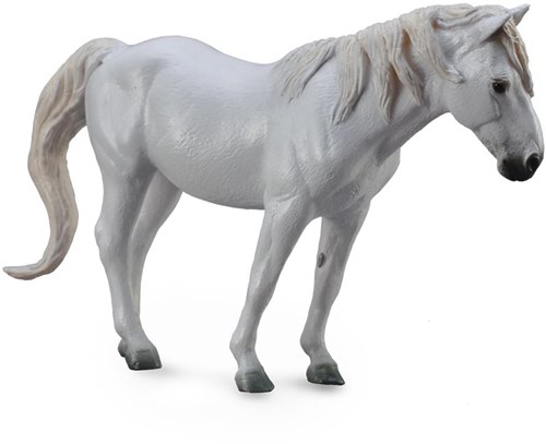 COLLECTA Camargue Grau - (XL)-2