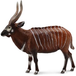 COLLECTA Bongo - (XL)