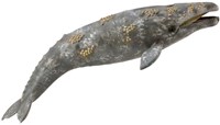 COLLECTA Grauwal - (XL)-2