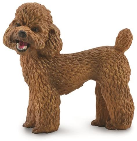 Caniche COLLECTA - (M)
