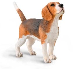 COLLECTA Beagle - (M)