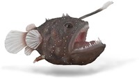 COLLECTA Seeteufel - (XL)