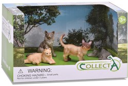 COLLECTA Geschenkset - Katzen