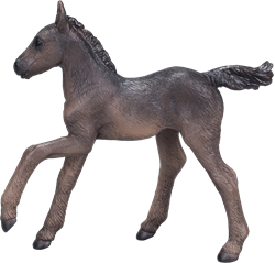 Mojo Horses Spielzeugpferd Araber Fohlen Schwarz - 381015