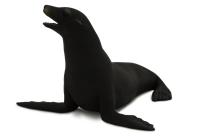 Mojo Jouet Sealife Californian Sea Lion - 387115
